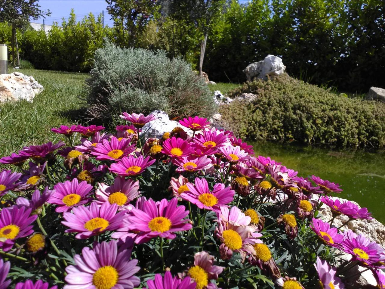 Villetta Dote Casarano Dış mekan fotoğraf