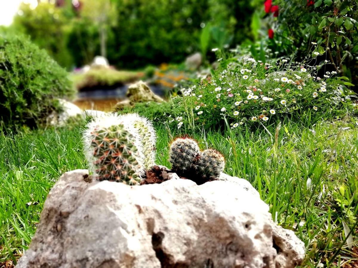 Villetta Dote Casarano Dış mekan fotoğraf
